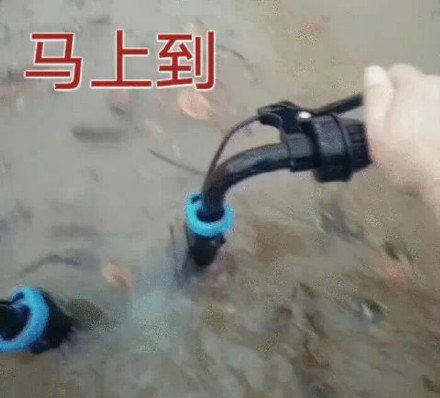 微信搞笑无厘头表情包6/26（一）