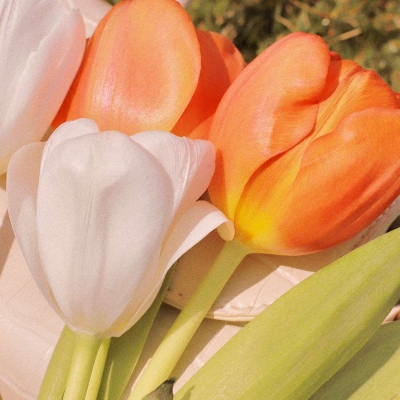 ins风清新美好生活随景背景图