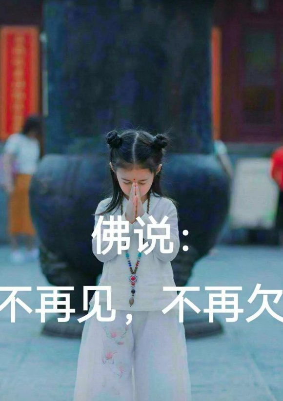 微信近期斗图恶搞表情包2020/6/23（二）