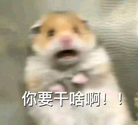 微信近期斗图恶搞表情包2020/6/23（二）