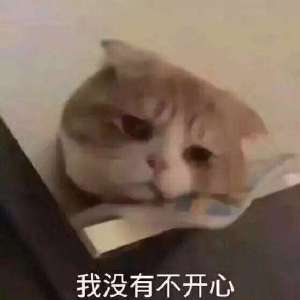 微信搞笑可爱卖萌表情6/23（二）