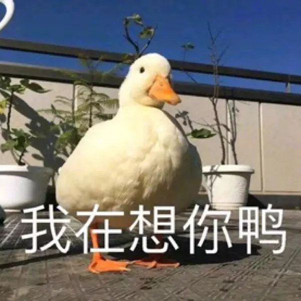 微信搞笑无厘头表情包6/23（二）