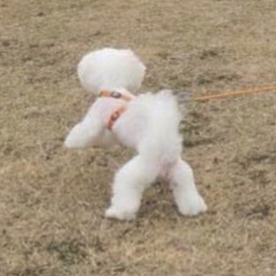 搞笑可爱一对真人动漫情头