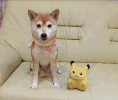 微信近期斗图恶搞表情包2020/6/23（二）