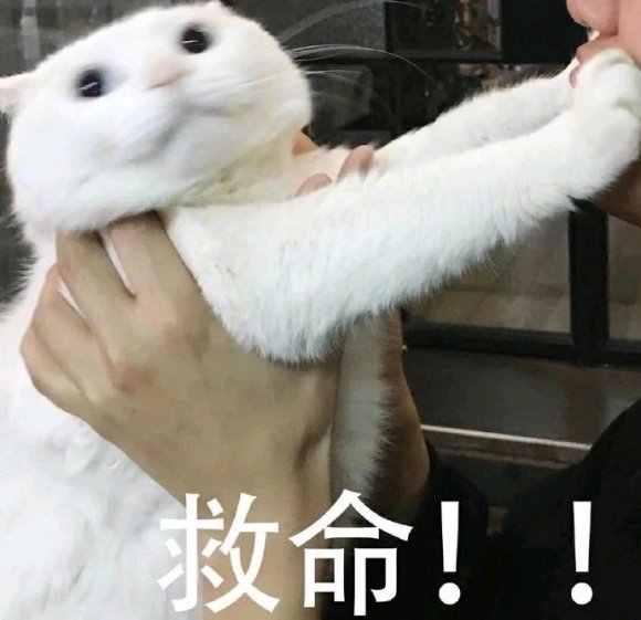 微信近期斗图恶搞表情包2020/6/23（二）