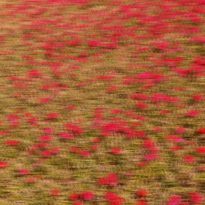 ins风清新美好生活随景背景图