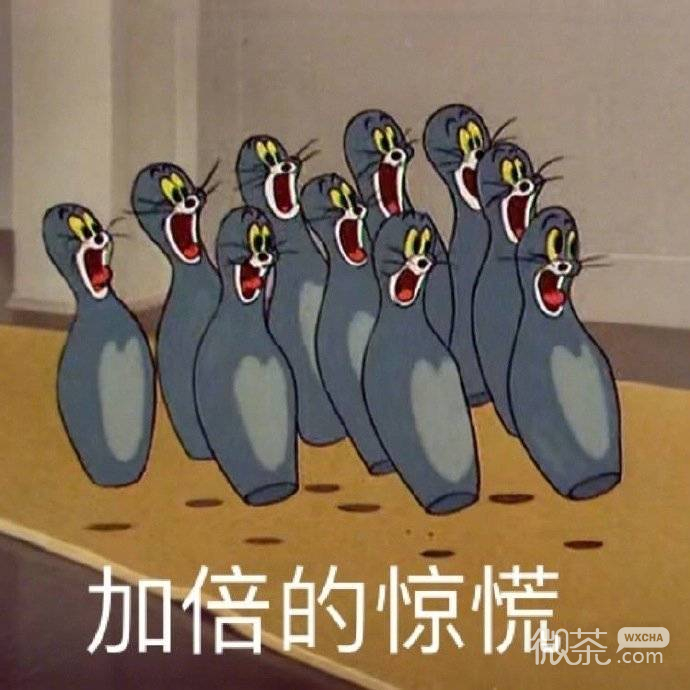 微信搞笑可爱卖萌表情6/23（二）