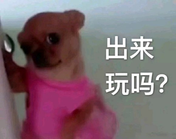 微信近期斗图恶搞表情包2020/6/23（二）