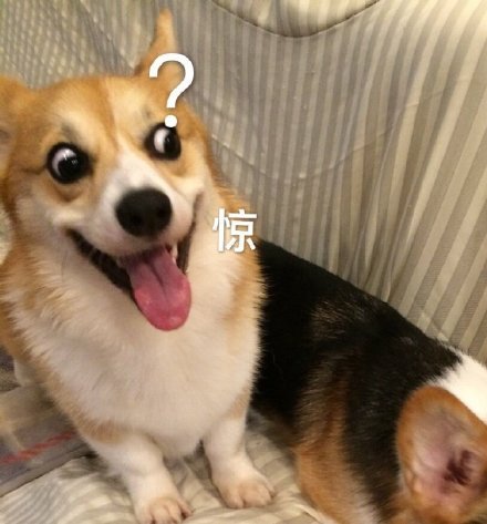 微信搞笑无厘头表情包6/23（二）