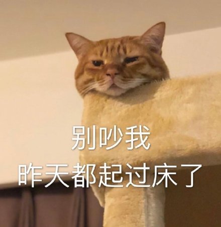 微信搞笑无厘头表情包6/23（二）