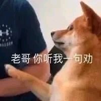 微信近期斗图恶个表情包2020/6/24（二）