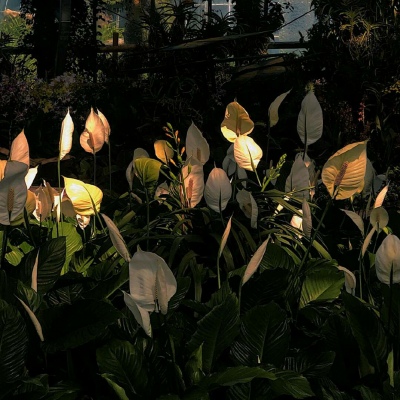 原宿系唯美个性优质暗系背景图