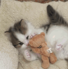 微信近期斗图恶个表情包2020/6/24（二）