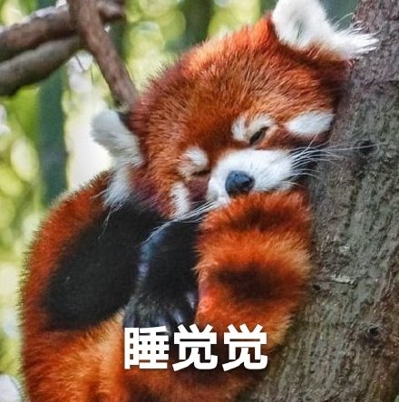 微信搞笑无厘头表情包6/28(二)