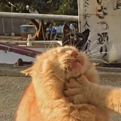 搞怪可爱文艺真人动漫情侣头像