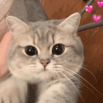 微信搞笑无厘头表情包6/28（二）