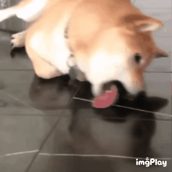 微信搞笑无厘头表情包6/28（二）