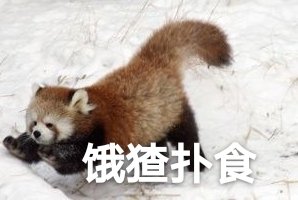 微信搞笑无厘头表情包6/28(二)