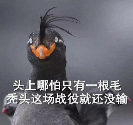 微信搞笑无厘头表情包6/28(二)