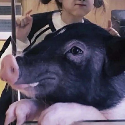 搞怪可爱文艺真人动漫情侣头像