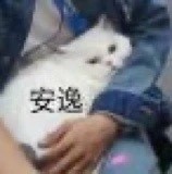 微信搞笑无厘头表情包6/28（二）