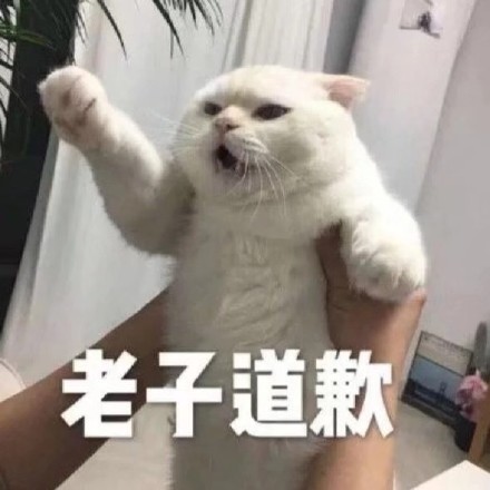 一组理直气壮的道歉表情包 ​