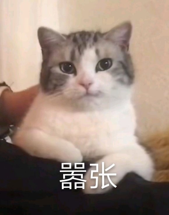 微信近期斗图恶搞表情包2020/6/29(二)