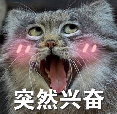 突然兴奋微信表情包