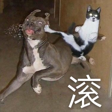 祖安狂人冲浪必备微信表情包