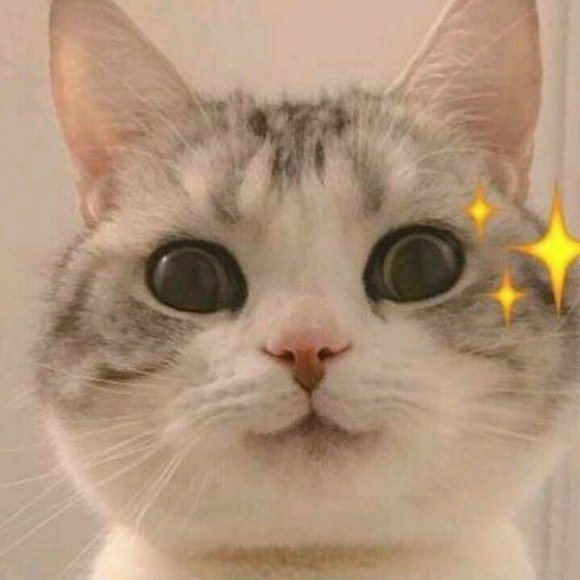 微信近期斗图恶搞表情包2020/6/29(二)