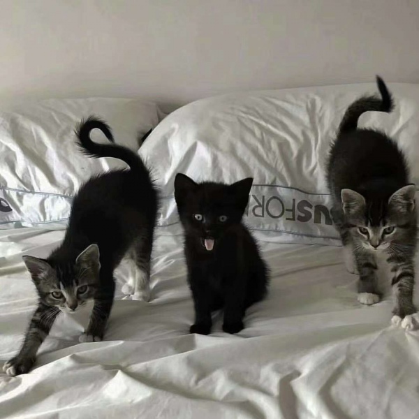 梦幻ins风充满个性背景图