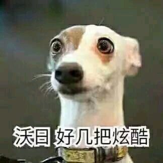 微信近期斗图恶搞表情包2020/6/29(二)