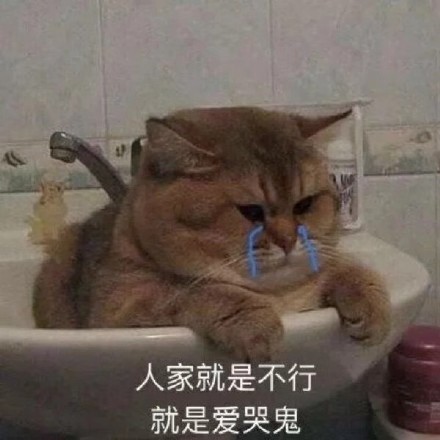 一组理直气壮的道歉表情包 ​