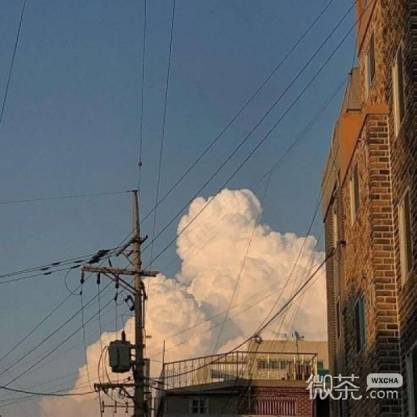优质日系成熟简约背景图