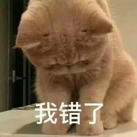 一组理直气壮的道歉表情包 ​