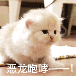 微信近期斗图恶搞表情包2020/6/29(二)