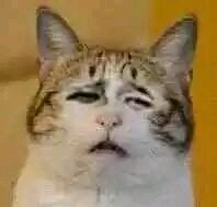 微信近期斗图恶搞表情2020/6/29