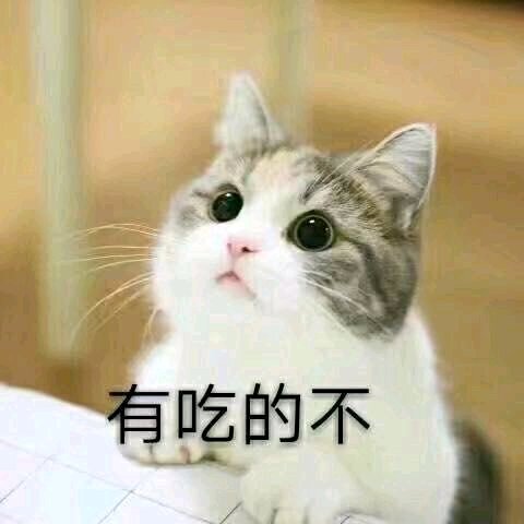 微信近期斗图恶搞表情包2020/6/29(二)