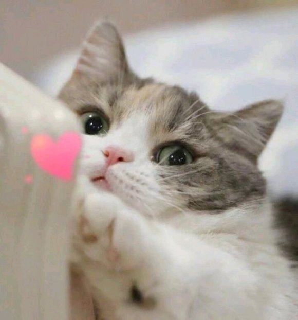 微信近期斗图恶搞表情2020/6/29