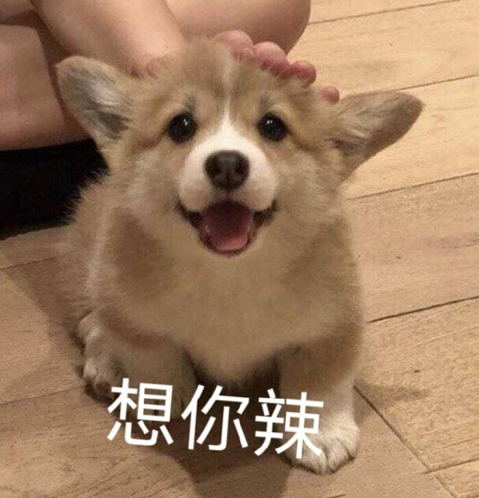 微信搞笑无厘头表情包6/30（三）