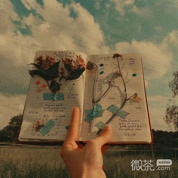 胶片风微信背景图