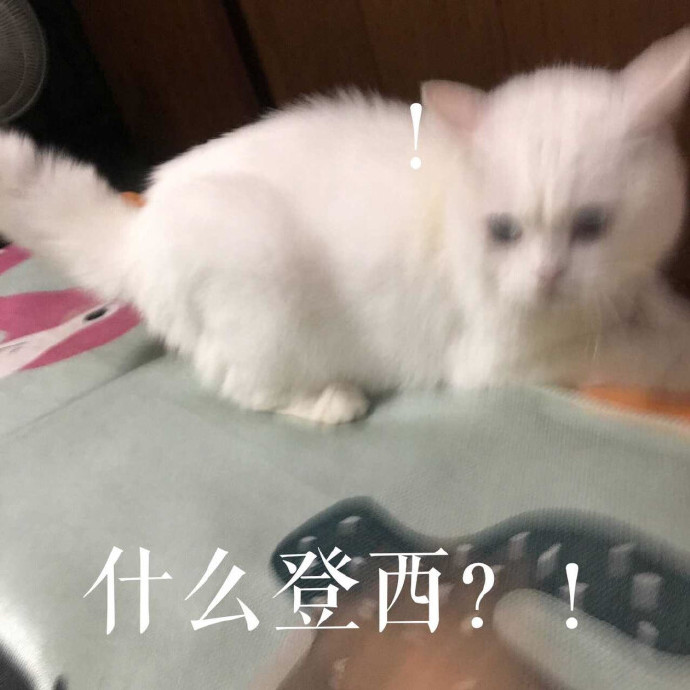 微信搞笑无厘头表情包6/30(二)