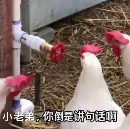 微信搞笑无厘头表情包6/30(二)