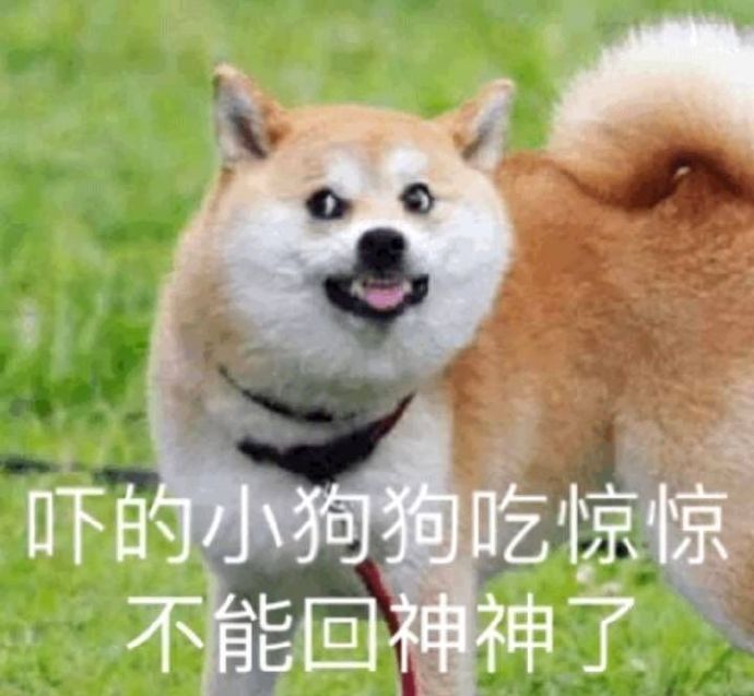 微信搞笑无厘头表情包6/30(三)