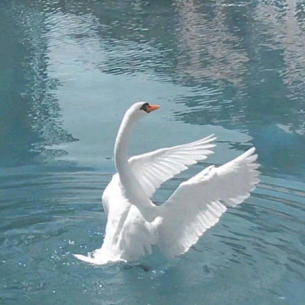 蓝色小清新唯美背景图