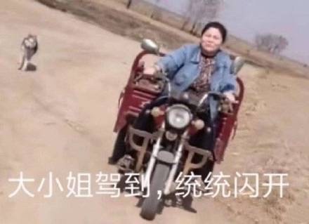 微信搞笑无厘头表情包6/30(二)