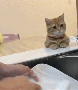 微信搞笑无厘头表情包6/30（一）