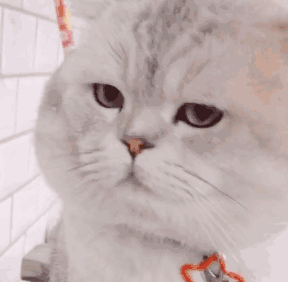 微信近期斗图表情包2020/7/6（二）