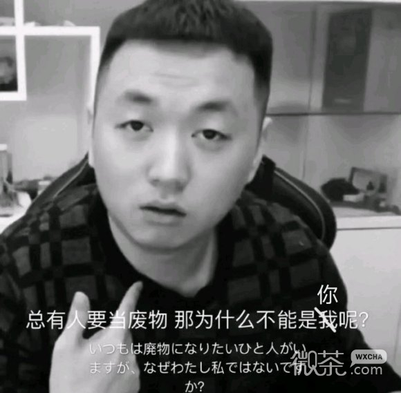 微信近期斗图恶搞表情2020/7/8（二）