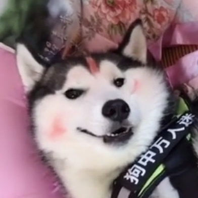 微信近期斗图恶搞表情包2020/7/14